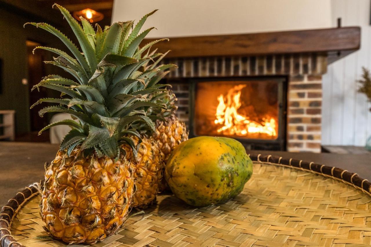 Magnifique Villa Creole Villa Ti Bout Bois Avec Cheminee Au Tevelave Les Avirons Kültér fotó